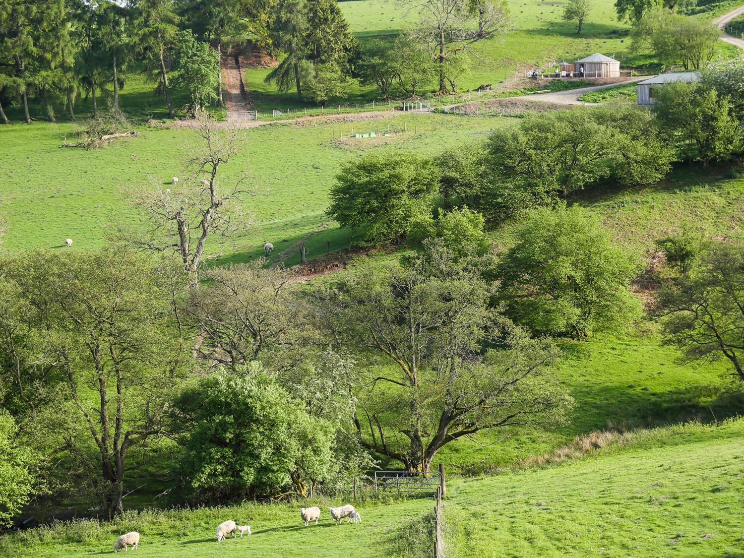 Rolling Hills Villa Newcastle  ภายนอก รูปภาพ